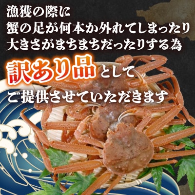 【訳あり】 北海道 豊浦 噴火湾 ズワイガニ 約1.5～2kg(3～5尾) TYUR041