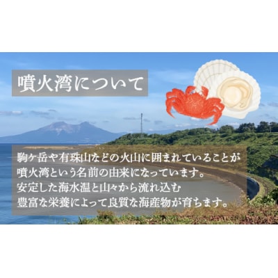 冷凍ボタンエビ 400g(10～14尾)×2パック 北海道 噴火湾産 TYUR043