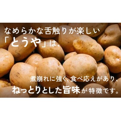 北海道 豊浦産 じゃがいも とうや 10kg M-Lサイズ 農園直送 TYUU001