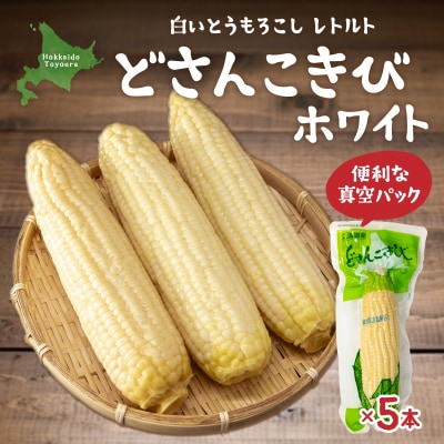 どさんこきびホワイト5本 北海道産 TYUO053