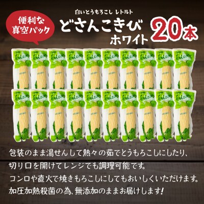 どさんこきびホワイト20本 北海道産 TYUO052