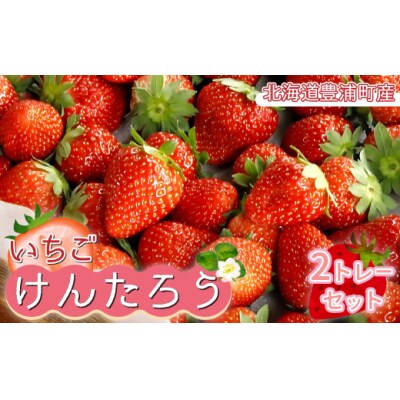 【2025.5月以降順次出荷】いちご「けんたろう」2トレーセット TYUT001