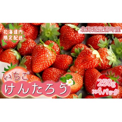 【2025年5月以降順次出荷】いちご「けんたろう」250g×4パックTYUT002