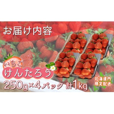 【2025年5月以降順次出荷】いちご「けんたろう」250g×4パックTYUT002