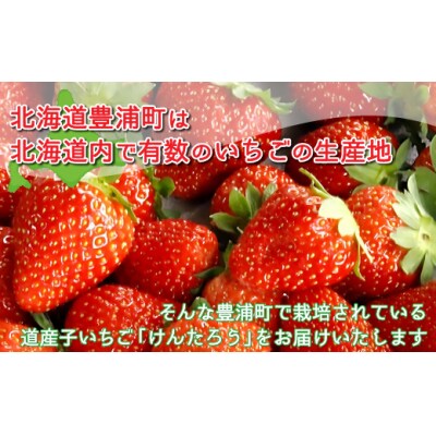 【2025年5月以降順次出荷】いちご「けんたろう」250g×4パックTYUT002
