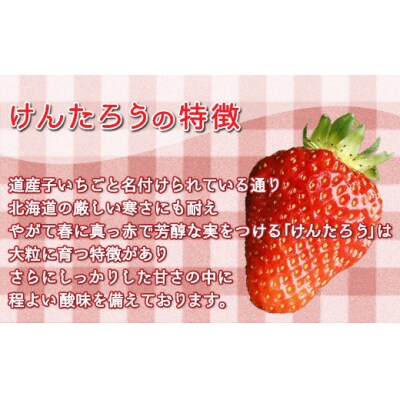 【2025年5月以降順次出荷】いちご「けんたろう」250g×4パックTYUT002
