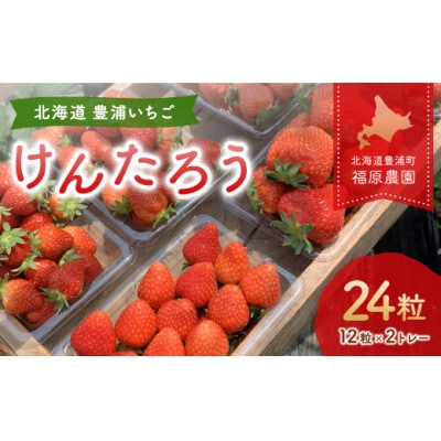 【2025年5月以降順次出荷】いちご「けんたろう」2トレーセット TYUAB001