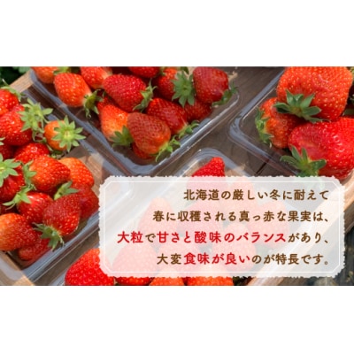 【2025年5月以降順次出荷】いちご「けんたろう」2トレーセット TYUAB001