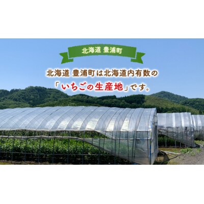 【先行受付】【道内限定配送】いちご「けんたろう」250g×4パック TYUAB002