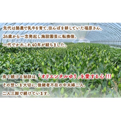 【先行受付】【2カ月定期便】福原さん家のオリエンタルゆりの花束 10本(3～5輪) TYUAB005
