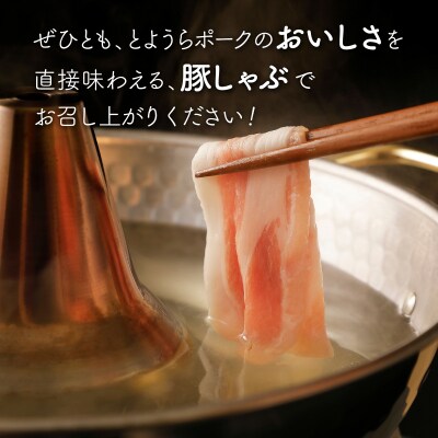 とようらポーク2kg ロース しゃぶしゃぶ用 北海道豊浦産 SPF豚 TYUG022