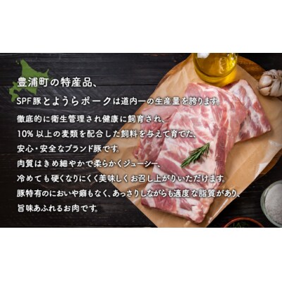 【3ヵ月 定期便 】 とようらポーク1.2kg 切り落とし 小分け 北海道豊浦産 TYUG007