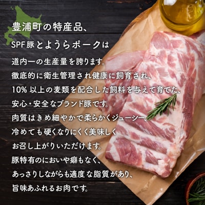 【6ヵ月 定期便 】 とようらポーク1.2kg 切り落とし 小分け 北海道豊浦産 TYUG011