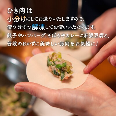 【6ヵ月 定期便 】 とようらポーク1.2kg ひき肉 小分け 北海道豊浦産 TYUG010