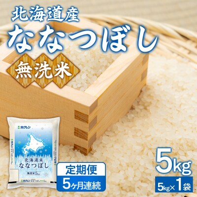 【令和7年産新米】【5ヶ月定期配送】(無洗米5kg)ホクレンななつぼし TYUA139