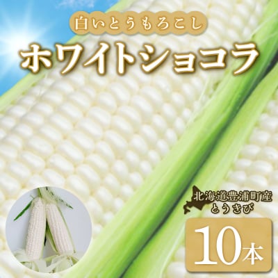 【先行受付】ホワイトショコラ　白いとうもろこし 10本　とうきび 豊浦町産 TYUH002