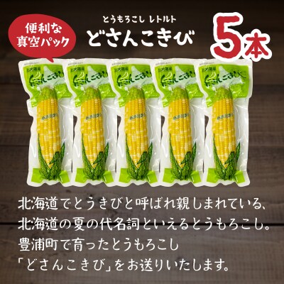 北海道産 とうもろこし 5本 どさんこきび TYUO003