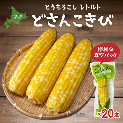 北海道産 とうもろこし 20本 どさんこきび TYUO005