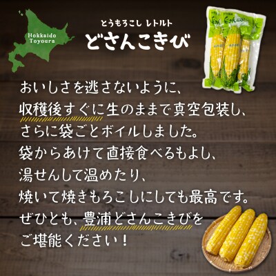 北海道産 とうもろこし 20本 どさんこきび TYUO005
