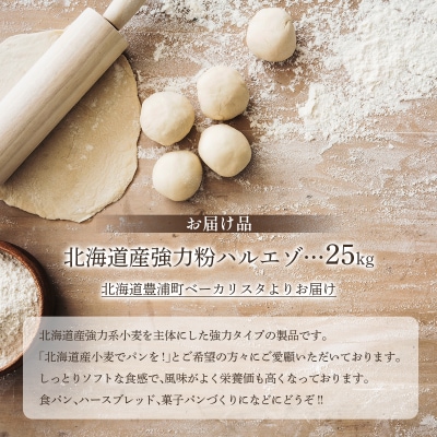 北海道産強力粉 ハルエゾ 25kg TYUAI001