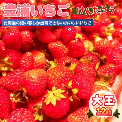 【2025.4月以降順次出荷】豊浦いちご 大玉12粒 TYUAH001
