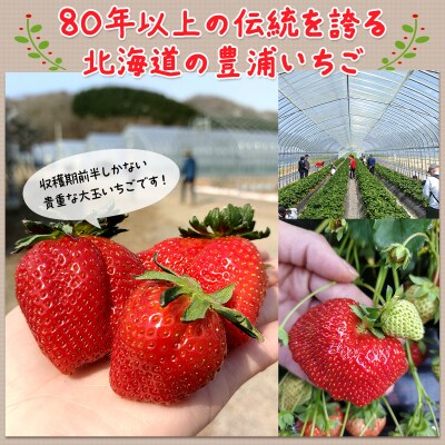 【2026年4月以降下旬順次出荷】 北海道 豊浦いちご 大玉12粒×2トレー TYUAH001