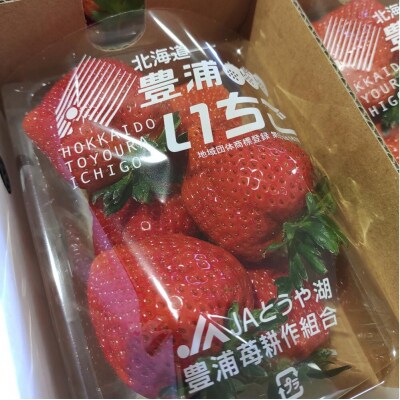 【2026年4月以降下旬順次出荷】 北海道 豊浦いちご 大玉12粒×2トレー TYUAH001