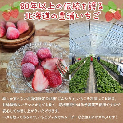 【2026年4月下旬以降順次出荷】 北海道 豊浦いちご  冷凍いちご 2kg TYUAH002