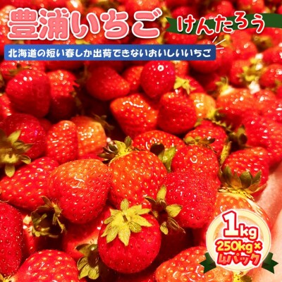 【2026年4月下旬以降順次出荷】 北海道 豊浦いちご　250g×4パック TYUAH003