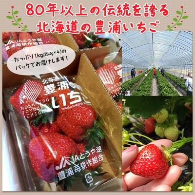 【2026年4月下旬以降順次出荷】 北海道 豊浦いちご　250g×4パック TYUAH003