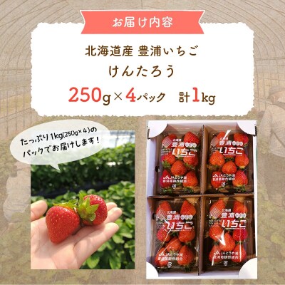 【2026年4月下旬以降順次出荷】 北海道 豊浦いちご　250g×4パック TYUAH003
