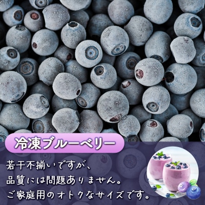 【先行受付】【定期便12カ月】豊浦町産 冷凍ブルーベリー2kg 栽培期間中農薬不使用 TYUS004