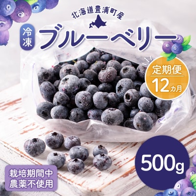 【先行受付】【定期便12カ月】豊浦町産冷凍ブルーベリー500g 栽培期間中農薬不使用 TYUS005
