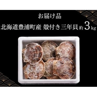 【先行受付】北海道 豊浦町 殻付き 3年貝 活ホタテ 約3kg TYUP005