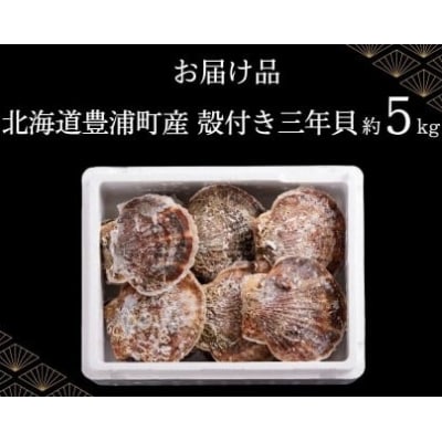 【先行受付】北海道 豊浦町 殻付き 3年貝 活ホタテ 約5kg TYUP006