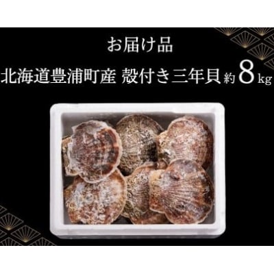 【先行受付】北海道 豊浦町 殻付き 3年貝 活ホタテ 約8kg TYUP007