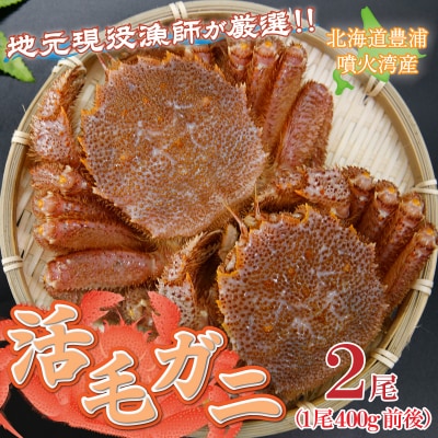 【令和8年度発送先行受付】活毛ガニ 2尾 (1尾400g前後) 毛ガニ 冷蔵 TYUR032