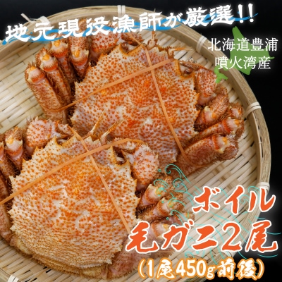 【令和8年度発送先行受付】ボイル・毛ガニ2尾 (1尾450g前後) 毛ガニ 冷蔵 TYUR004