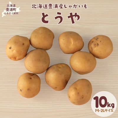 【先行受付】北海道豊浦産じゃがいも とうや 約10kg M-2Lサイズ　TYUB008