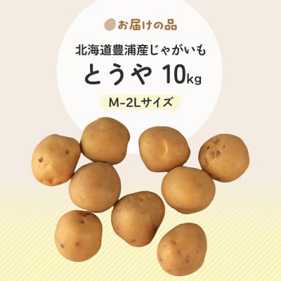 【先行受付】北海道豊浦産じゃがいも とうや 約10kg M-2Lサイズ　TYUB008