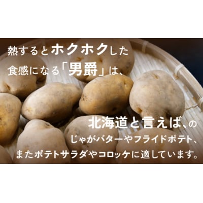 【先行受付】北海道豊浦産じゃがいも 男爵 約10kg M-2Lサイズ　TYUB009