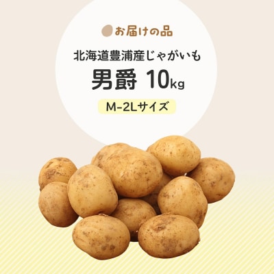 【先行受付】北海道豊浦産じゃがいも 男爵 約10kg M-2Lサイズ　TYUB009