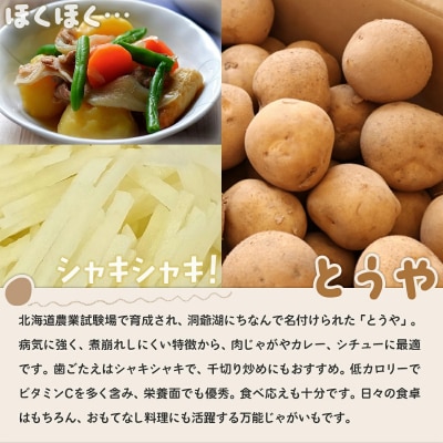 【先行受付】北海道豊浦産じゃがいも とうや男爵食べ比べセット合計約10kg M-2L TYUB010