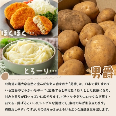【先行受付】北海道豊浦産じゃがいも とうや男爵食べ比べセット合計約10kg M-2L TYUB010