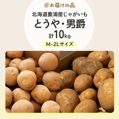 【先行受付】北海道豊浦産じゃがいも とうや男爵食べ比べセット合計約10kg M-2L TYUB010