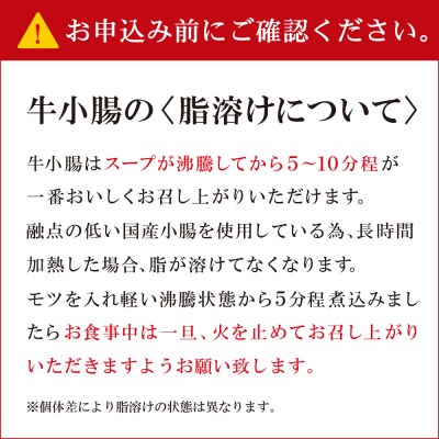 【父の日ギフト】博多若杉 牛もつ鍋(4～5人前)&明太子セット