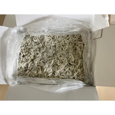 訳あり不揃い釜揚げシラス800g箱入り×1箱　3か月連続発送　114905