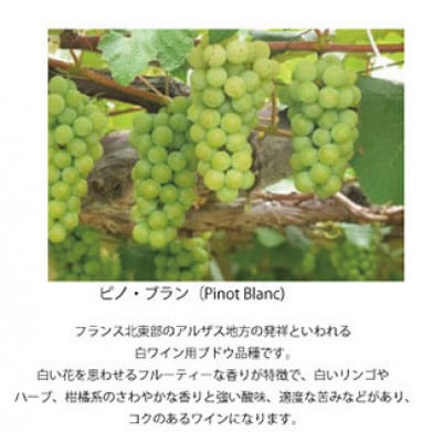高畠ワイナリーのバリック ピノブラン 750ml 1本 白ワイン