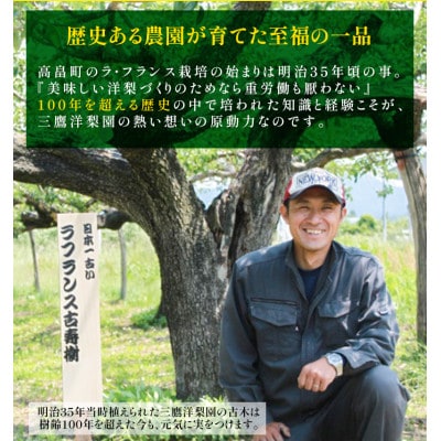 山形県高畠町産 ラ・フランス 2kg(7～8玉)[2024年11月上旬より順次発送]