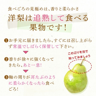 山形県高畠町産 ラ・フランス 2kg(7～8玉)[2024年11月上旬より順次発送]